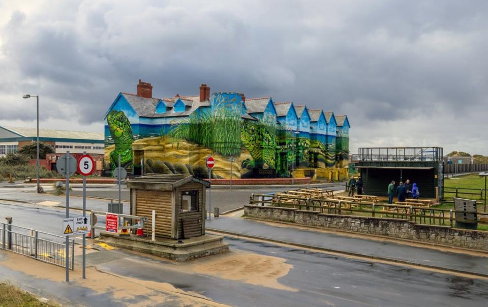 Work is completed on artist Paul Curtis’ sand lizards mural which covers the exterior of Toad Hall in Ainsdale, Merseyside (Peter Byrne/PA) (PA Wire)