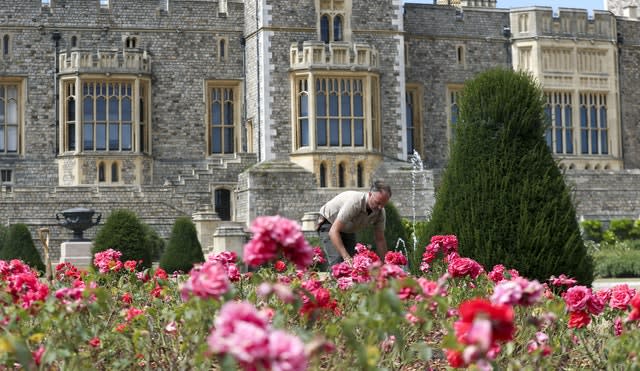 Windsor Castle’s East Terrace Garden features thousands of rose bushes. Steve Parsons/PA Wire