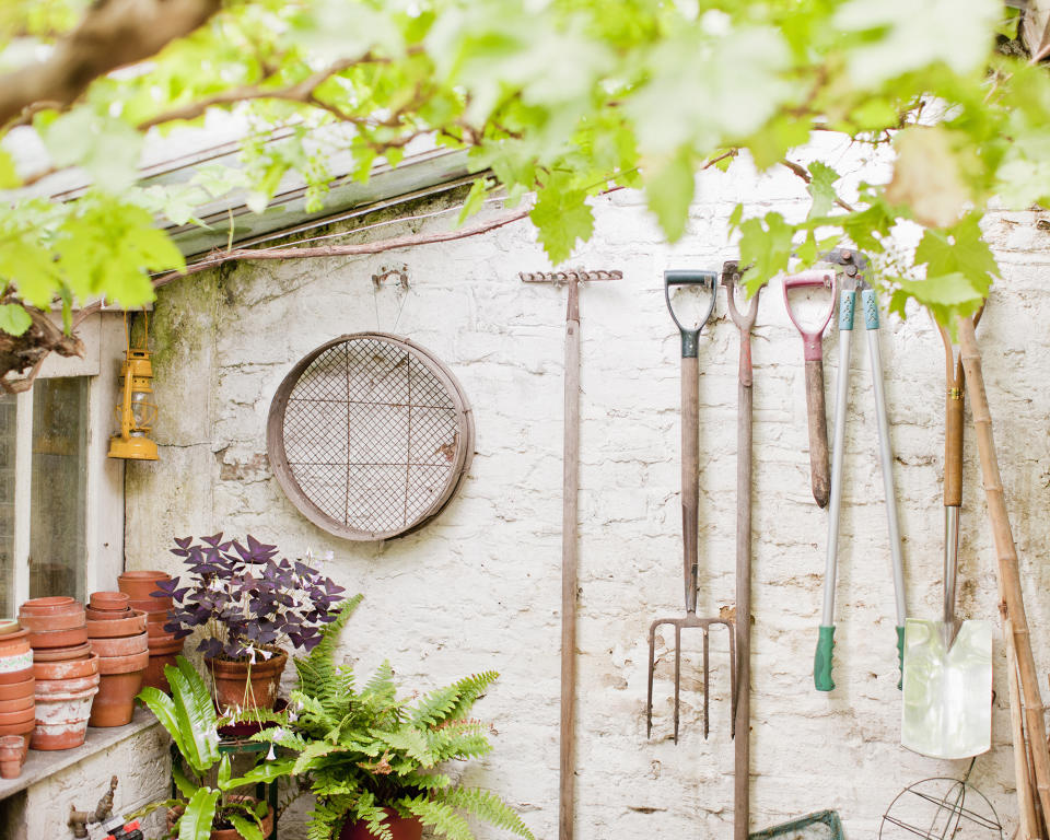 Tools and pots stored in potting shed