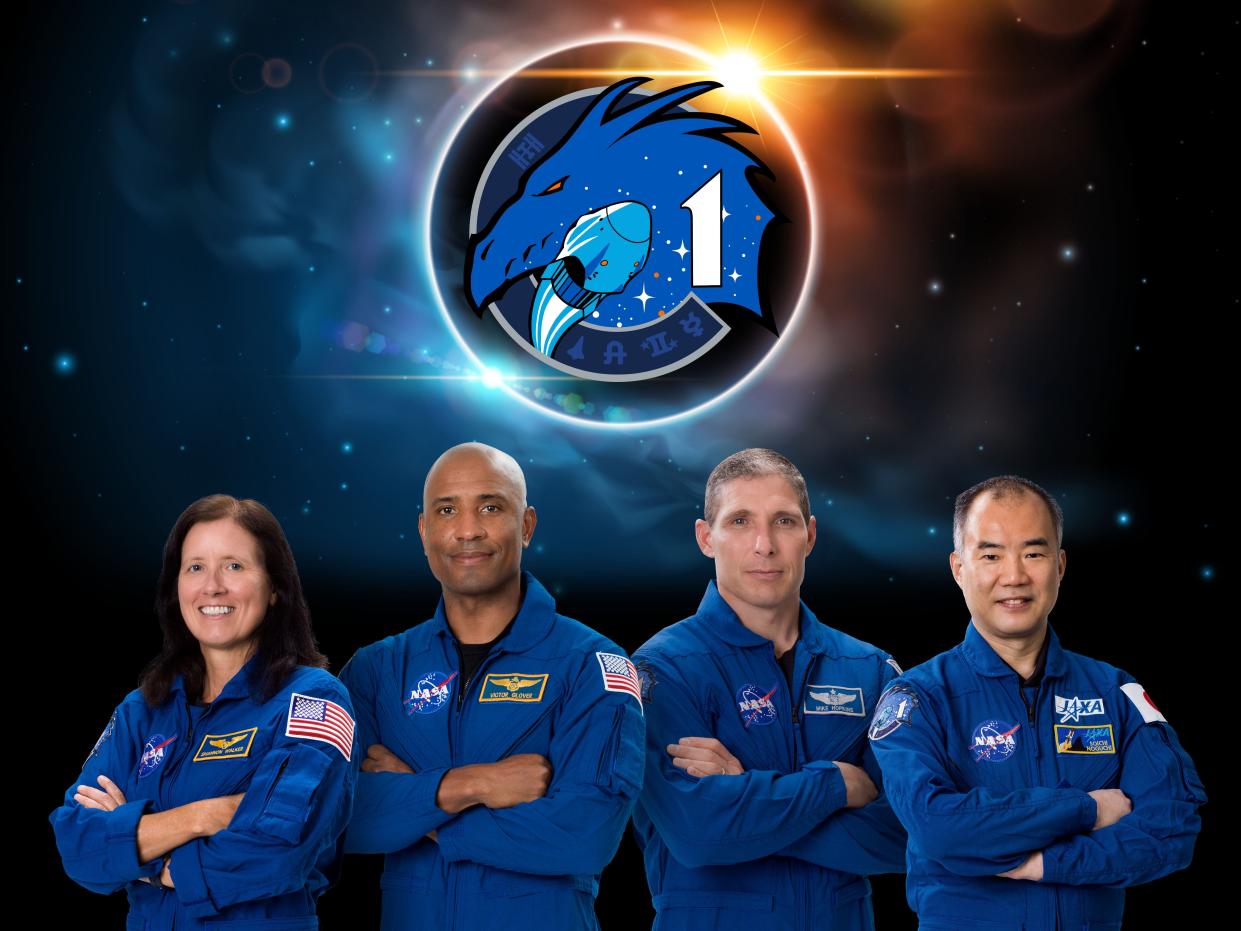 nasa spacex crew1 astronauts official portrait