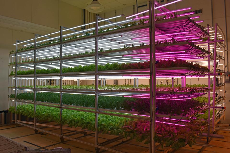 Clayton Farms vertical, indoor farming system is pesticide-free and grows produce without the use of soil.