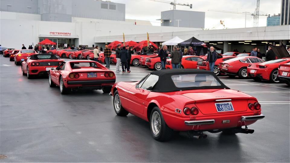 enzo ferrari cruise in