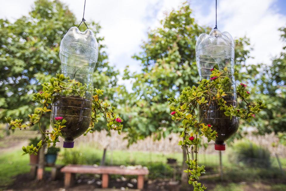 <p>Plastic water bottles take an average of 1,000 years to biodegrade, so avoid throwing them away altogether and reuse them. They're ideal for the garden as they make great alternative planters. Just cut open one side, fill with compost and plant seedlings, then hang with heavy duty string.</p>