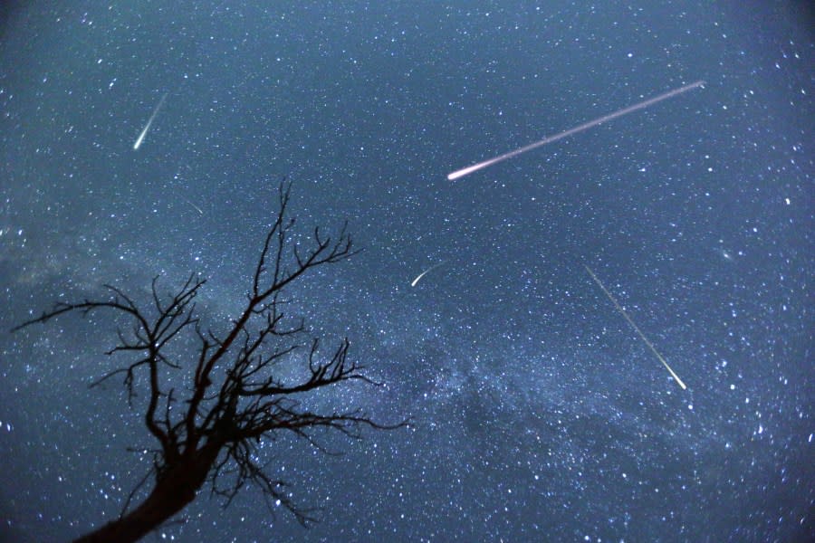 Perseid meteor shower will light up Sunday night skies