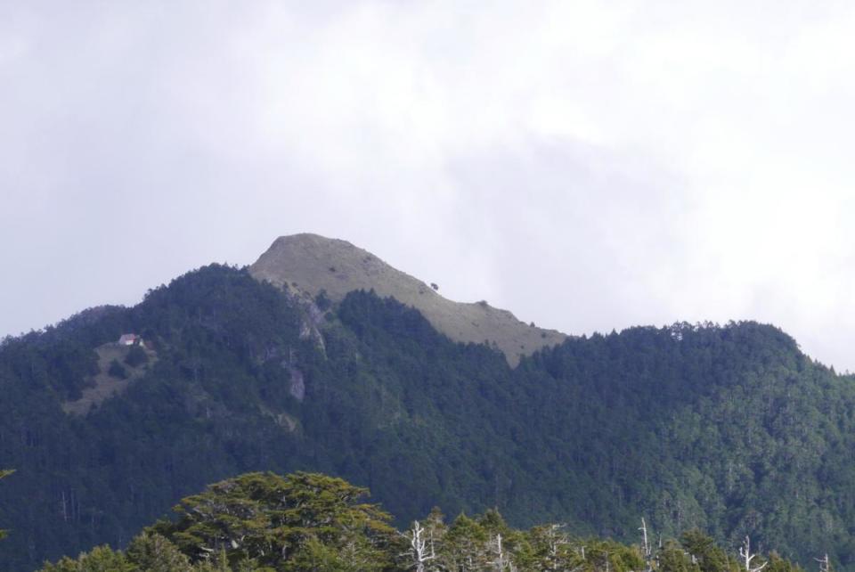 遠眺桃山，山頂左下方不遠處即為桃山山屋。