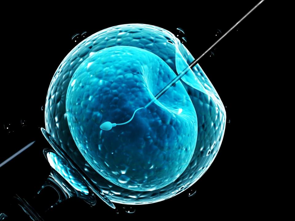 Obese people unfairly denied IVF by cost-cutting NHS, says Oxford academic