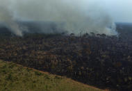 FILE - Smoke rises from a forest fire in the Transamazonica highway region, in the municipality of Labrea, Amazonas state, Brazil, Sept. 17, 2022. Environmental leaders are gathering in Montreal to hammer out a framework they hope will help provide much-needed protection for the world's biodiversity. (AP Photo/Edmar Barros, File)