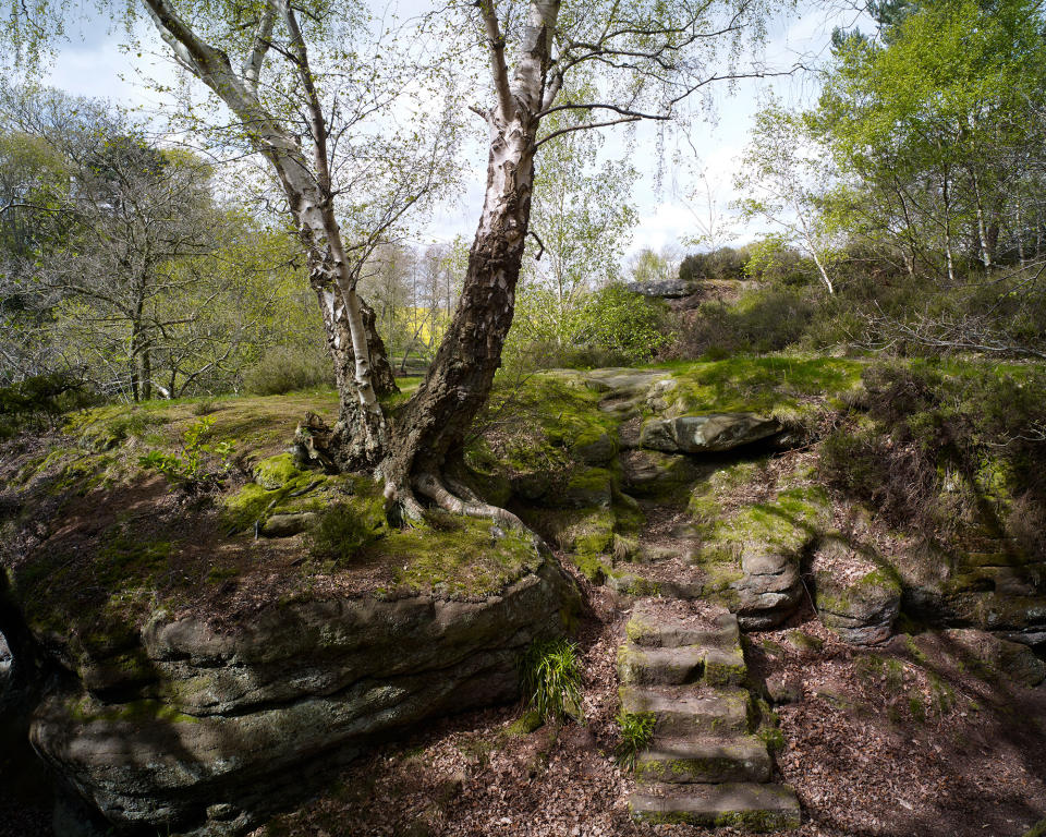 14. Embrace the unkempt look of a moss garden