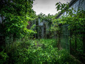 <p>Abandoned overgrown greenhouse in Ohio. (Photo: Johnny Joo/Caters News) </p>