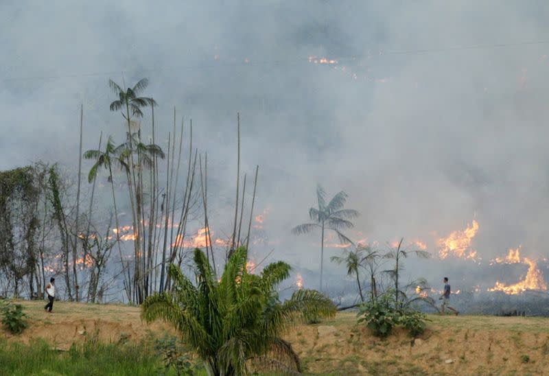 FILE PHOTO: BRAZILIAN FARMERS BURN FOREST FOR FARMING IN THE AMAZON BASIN.