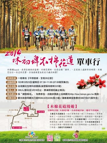 【賞花之旅】林初埤木棉花道，滿天燃燒「紅不讓」！