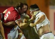 Autumn Nations Cup - Wales v England