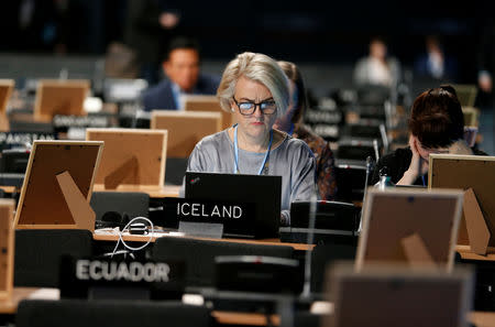 Participants attend the COP24 U.N. Climate Change Conference 2018 in Katowice, Poland December 11, 2018. Agencja Gazeta/Grzegorz Celejewski via REUTERS