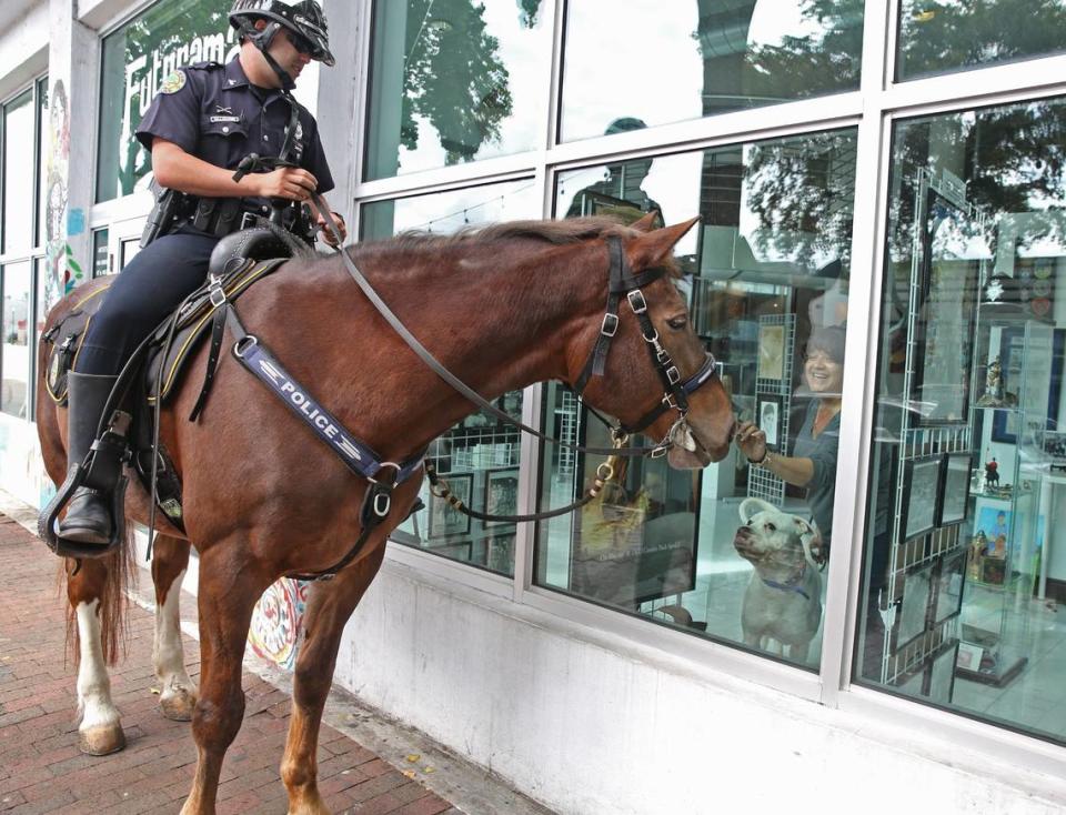 In this 2016 photo, Miami Police Officer Michael Valladares, riding Miss Miami, stops by the Futurama Art Gallery.