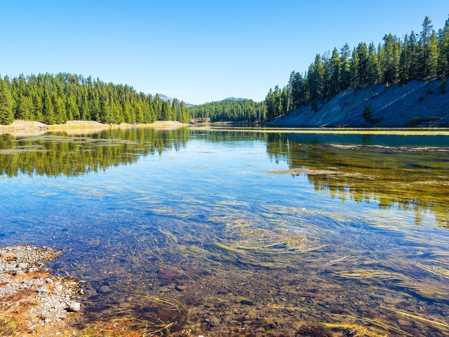 yellowstone river