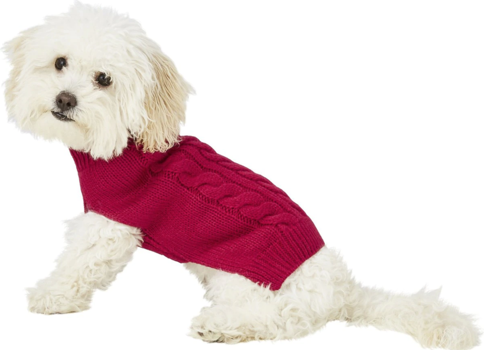 red cable knit dog sweater, small dog sweater, red dog sweater