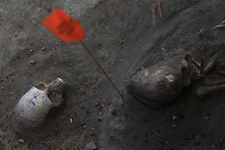 Marked human skulls are seen at a construction site in the former war zone in Mannar, about 327 km (203 miles) from the capital Colombo, January 16, 2014. REUTERS/Dinuka Liyanawatte