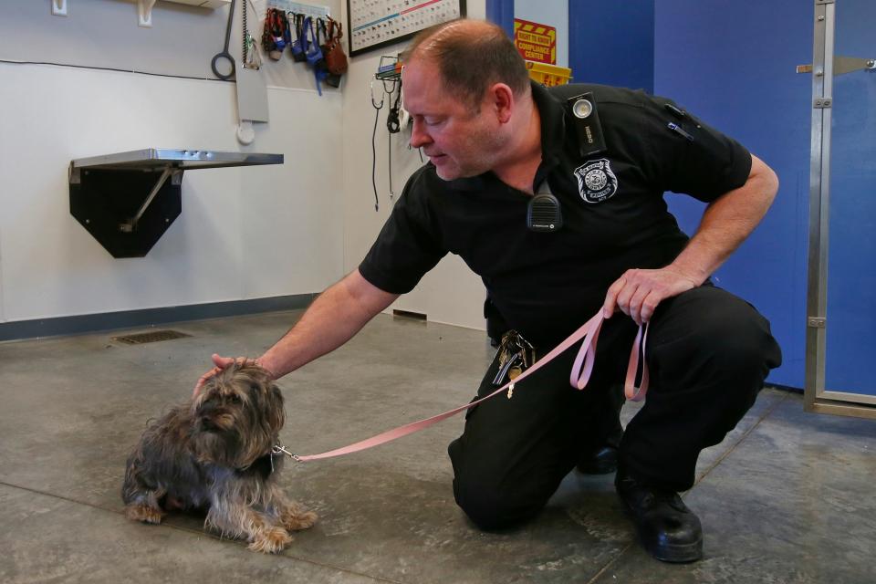 Officer Brandon George pets a dog just dropped off at the Animal Control office on Brock Avenue in New Bedford, by an owner who is no longer able to take care of it after he becoming sick. The dog will now be transfered over to an animal shelter in the hope of finding a new home.