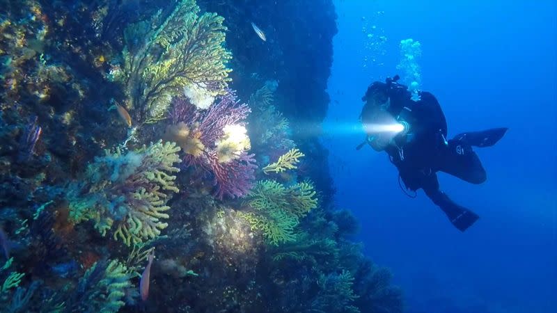 Italy's Coast Guard heralds lockdown a success for the sea