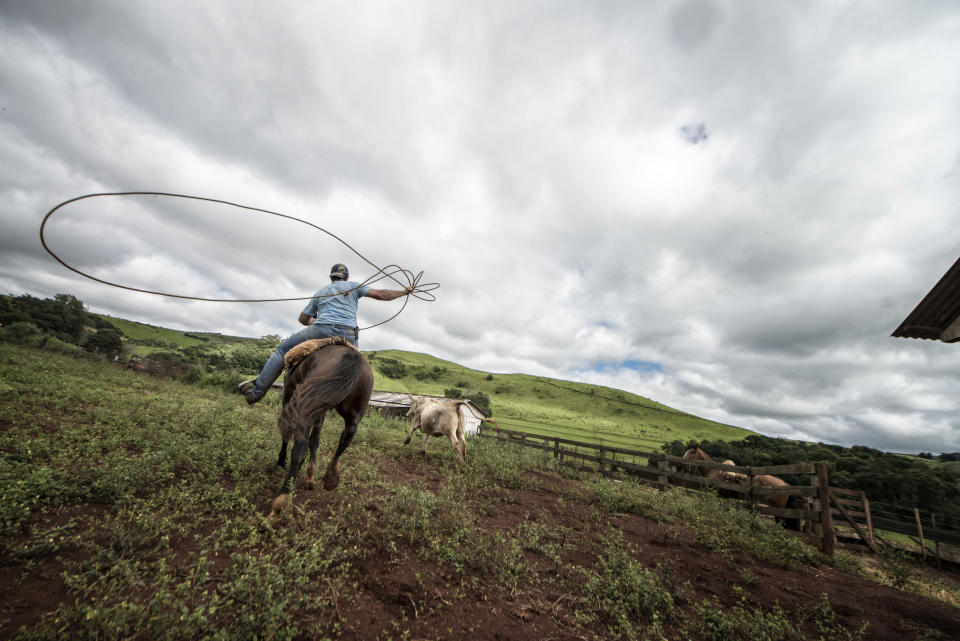 'Gaucho's lasso.' Brazilian Gaucho riding a wild Criollo horse to round lasso bulls. (Photo and caption by Chris Schmid/National Geographic Traveler Photo Contest) <br> <a href="http://travel.nationalgeographic.com/travel/traveler-magazine/photo-contest/2013/" rel="nofollow noopener" target="_blank" data-ylk="slk:See more and submit;elm:context_link;itc:0;sec:content-canvas" class="link ">See more and submit</a>