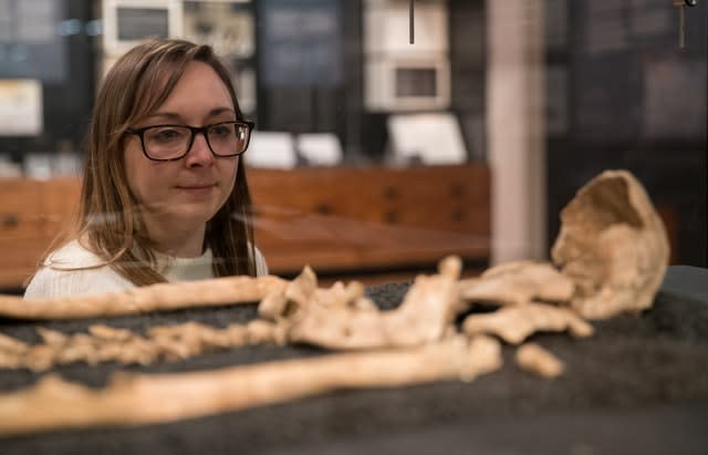 Remains on display at the Novium Museum