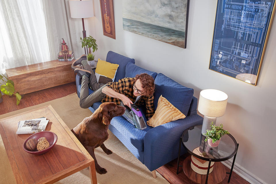 Cheerful young man using handheld Bissell vacuum cleaner to clean the couch while smiling at his dog