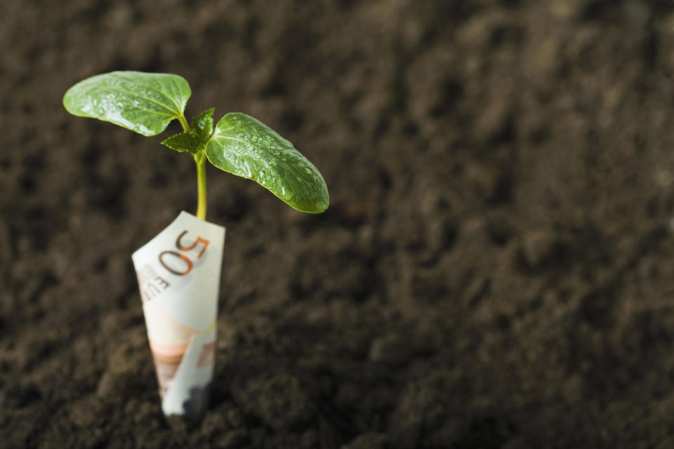 Manche Dinge sind mit Geld eben einfach nicht aufzuwiegen. (Bild: Getty Images)