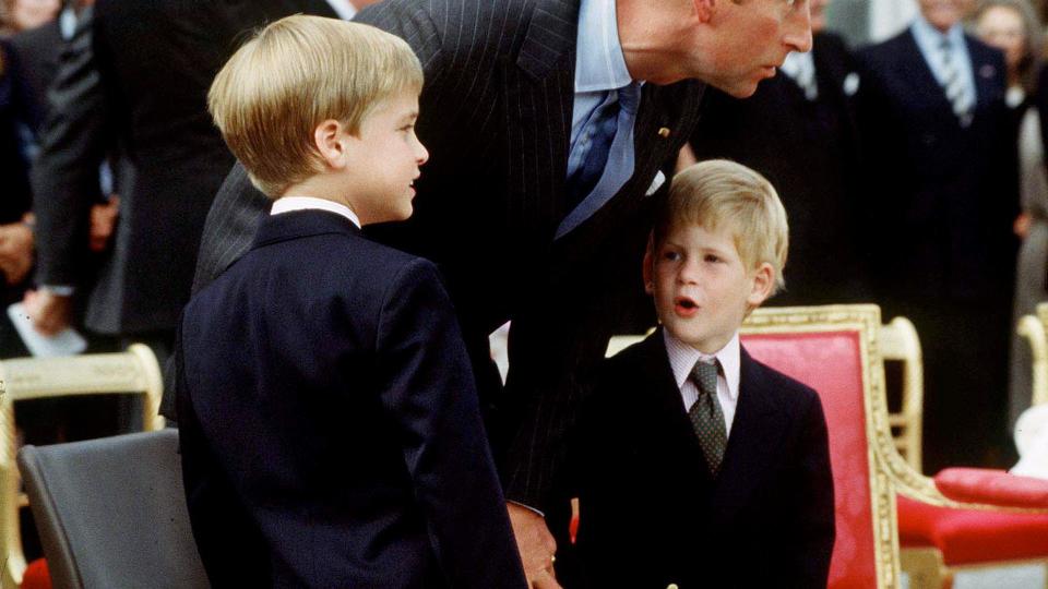 Prince Charles With Prince William and Prince Harry At Beating The Retreat, Kensington Palace. 