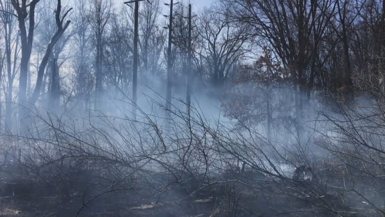 Prescribed burns planned for B.C. Interior