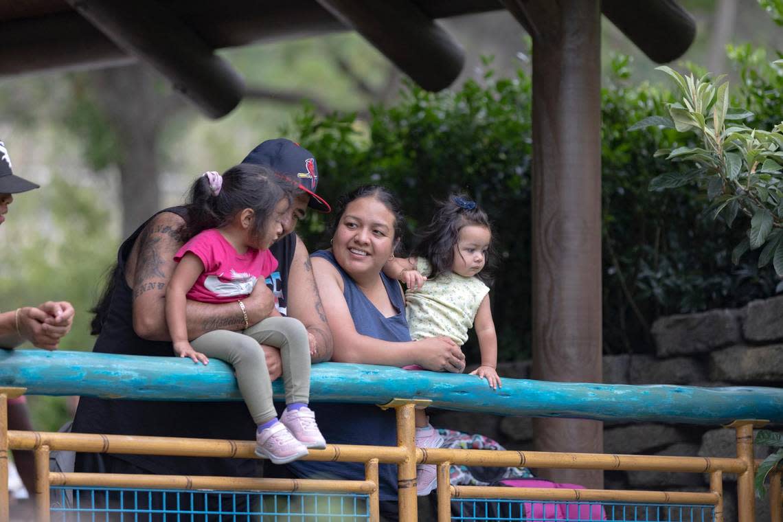 A family watches the elephants play at the Fort Worth Zoo on June 8, 2022.