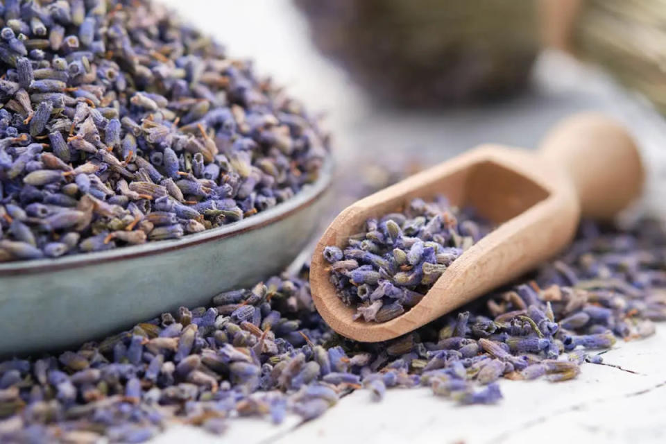 lavanda para alejar cucarachas