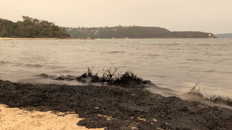 Ash from bushfires that affected New South Wales in the last days is seen on Balmoral Beach in Sydney