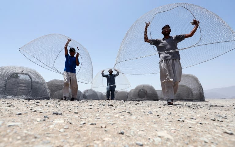 The fishing cage, or wire net, used in the Gulf of Oman is shaped like an igloo, with an oval-shaped inlet