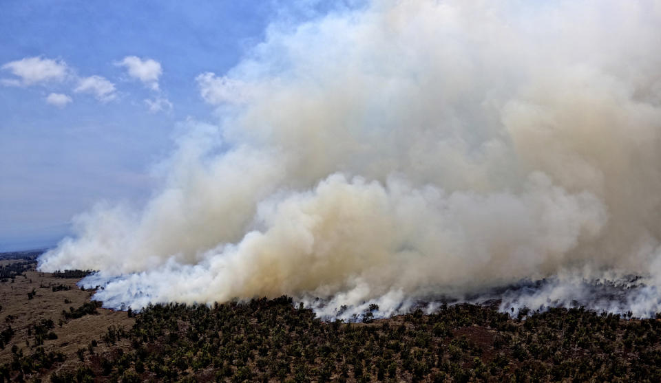 This photo provided by the Hawaii Department of Land and Natural Resources shows a large wildfire in a rural area of Hawaii's Big Island that is not threatening any homes, but high winds and extremely dry conditions are making it difficult for crews to contain the blaze. (Hawaii Department of Land and Natural Resources via AP)