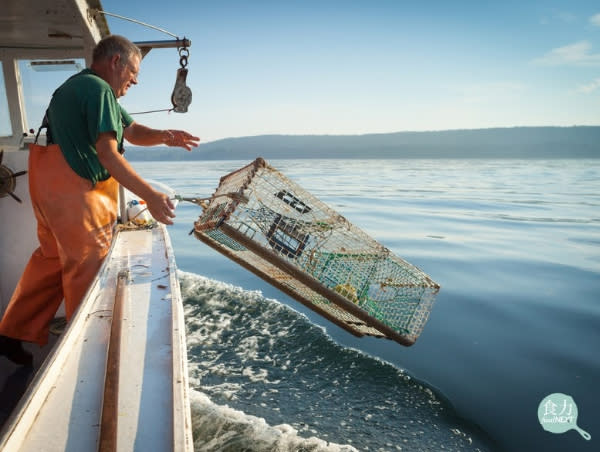 緬因州的龍蝦人利用扔進海裡的陷阱捕撈龍蝦，陷阱的數量必須受到規範。 