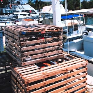 Image of old stone crab traps in Florida courtesy of NOAA/William Folsom/NMFS/Wikimedia Commons