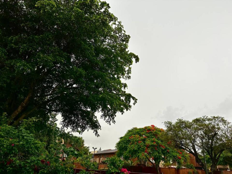 Overcast skies dropped rain on parts of South Florida Wednesday morning, July 26, 2023. Thunderstorms moved over Kendall, Cutler Bay, Palmetto Bay and Coral Gables, the National Weather Service in Miami said. More moisture is on the way into the weekend. Howard Cohen/hcohen@miamiherald.com