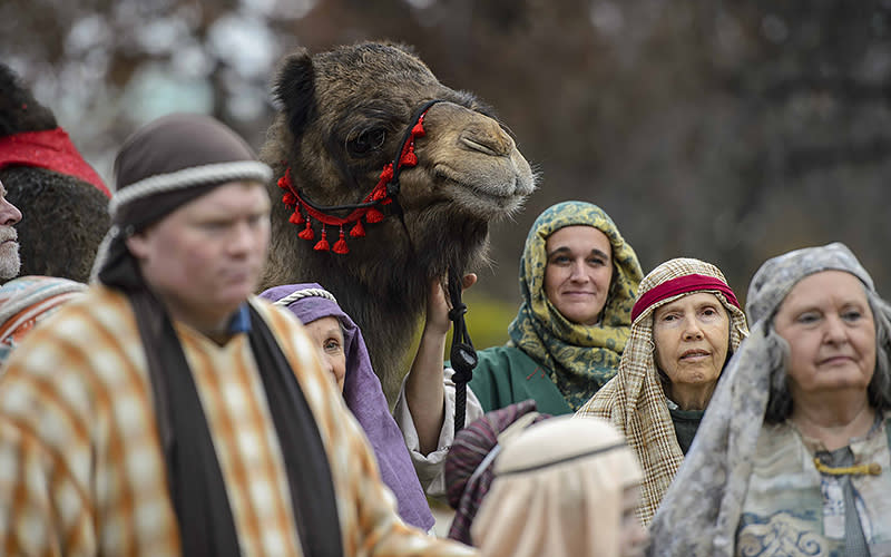 Live Nativity Scene