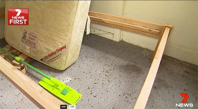 The hostel has a cockroach infestation. Source: 7 News