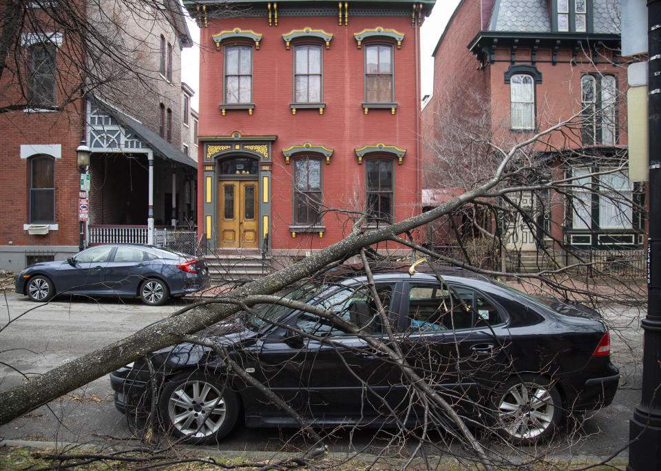 A tree downed by strong winds lays across the front of a vehicle parked on Beech Ave. Sunday, Feb. 24, 2019, on the North Side of Pittsburgh. (Jessie Wardarski/Pittsburgh Post-Gazette via AP)