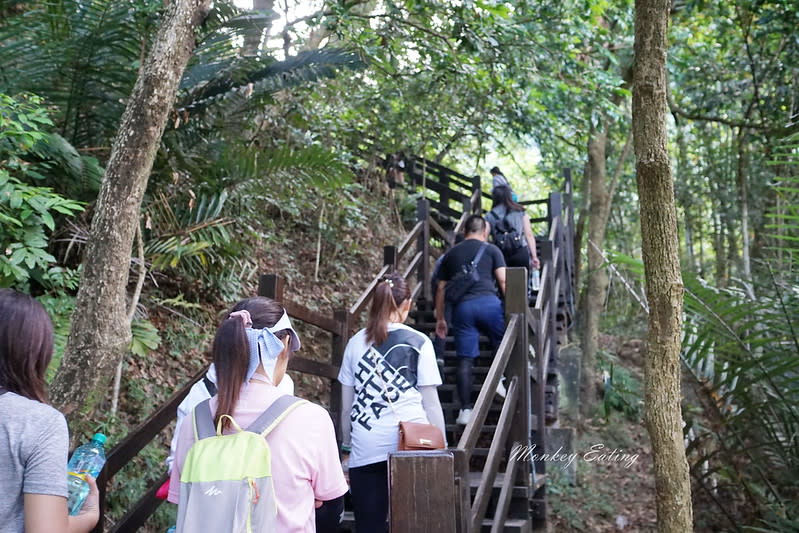 大坑9-1號登山步道