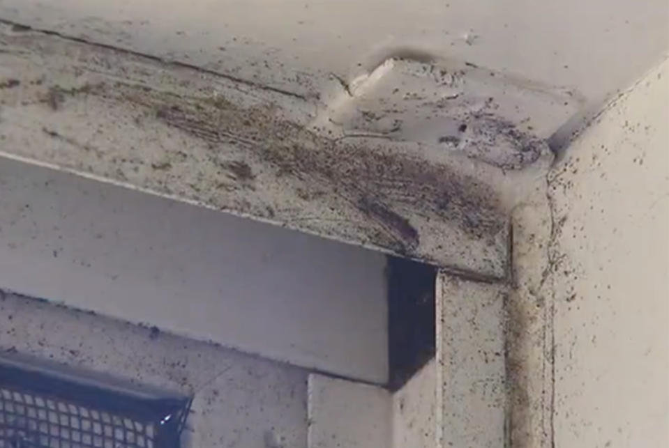 Mould infestation: Mould has taken over the Manly West home.