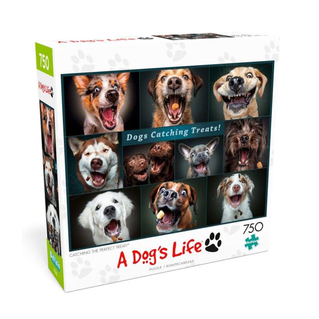 Dog Days: Dogs in the Library 750 Piece Puzzle