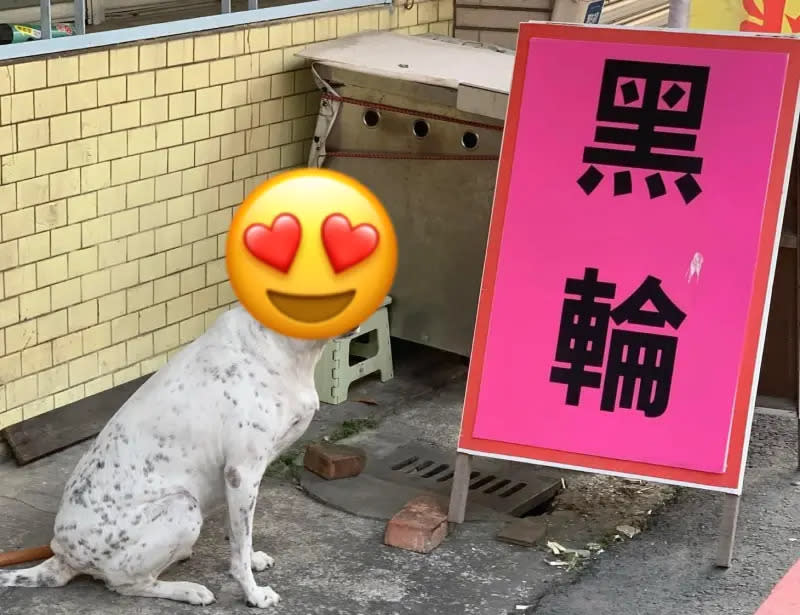 ▲原PO發現黑輪店養了一隻擁有「完美花色」的店狗，眼睛四周的黑色斑點讓牠看起來就像自帶「喔戀」。（圖／翻攝自臉書粉專「路上觀察學院」）