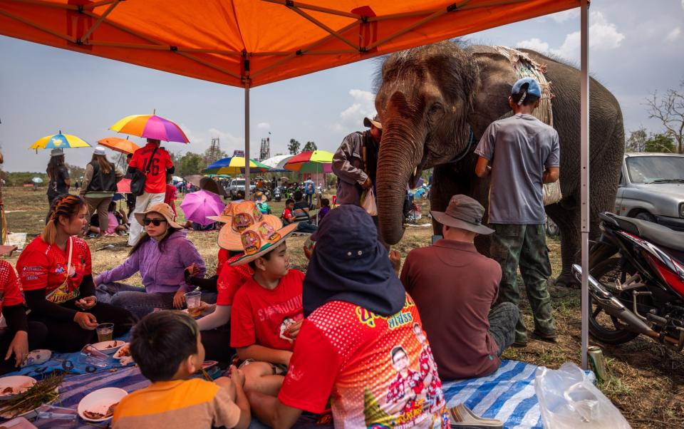 Spectators are visited by an elephant while eating lunch during the "Bun Bang Fai" rocket festival on May 12, 2024 in Yasothon, Thailand