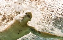 Canadian swimmer Brent Hayden competes in a heat of the men's 100 metre freestyle for The Commonwealth Games at The S.P. Mukherjee Aquatics Centre Stadium in New Delhi on October 6, 2010. The Commonwealth Games are taking place in the Indian capital from October 3-14. AFP PHOTO / FRANCOIS XAVIER MARIT (Photo credit should read FRANCOIS XAVIER MARIT/AFP/Getty Images)