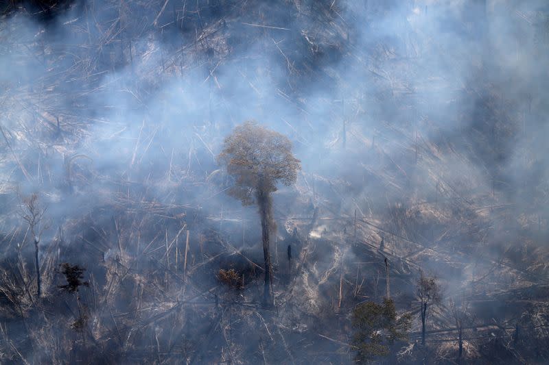 Pictures of the Year: Fires in the Amazon: a barrier to climate change up in smoke