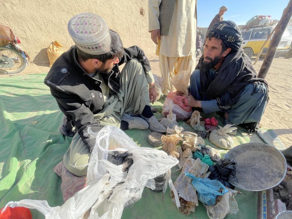 Producers prepare opium poppy bags to sell as farmers continue to cultivate opium poppy on their lands in Kandahar, Afghanistan, December 18, 2021. / Credit: Murteza Khaliqi/Anadolu Agency/Getty