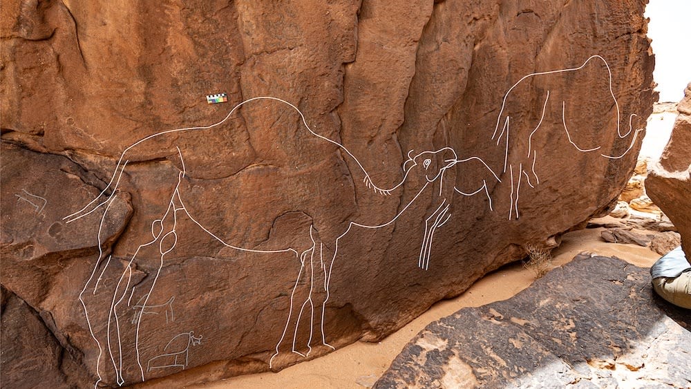  A carving of a camel on a rock outcropping. . 