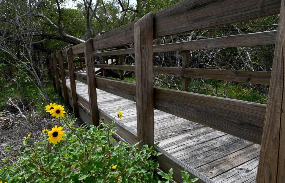 The Environmental Lands Management and Acquisition Committee has recommended that Manatee County Government purchase 98 acres next door to Emerson Point Preserve in Palmetto. The Manatee Board of County Commissioners is weighing whether to go forward with the purchase and expand the preserve. A boardwalk is shown at the preserve.